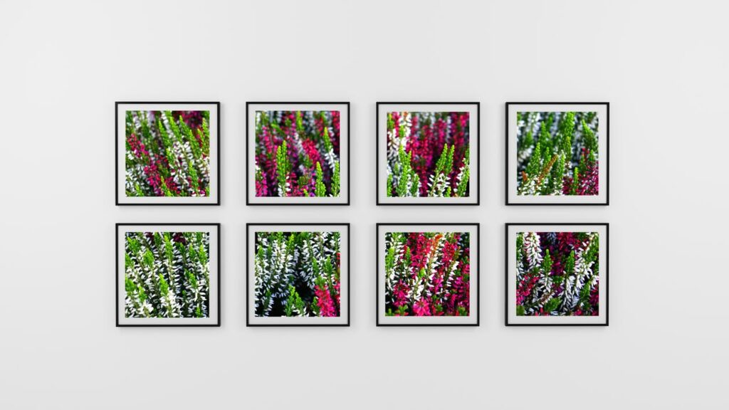 Botanical Prints in Gallery